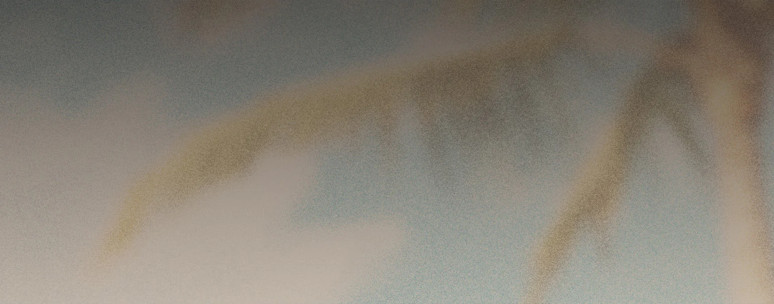Product image 141